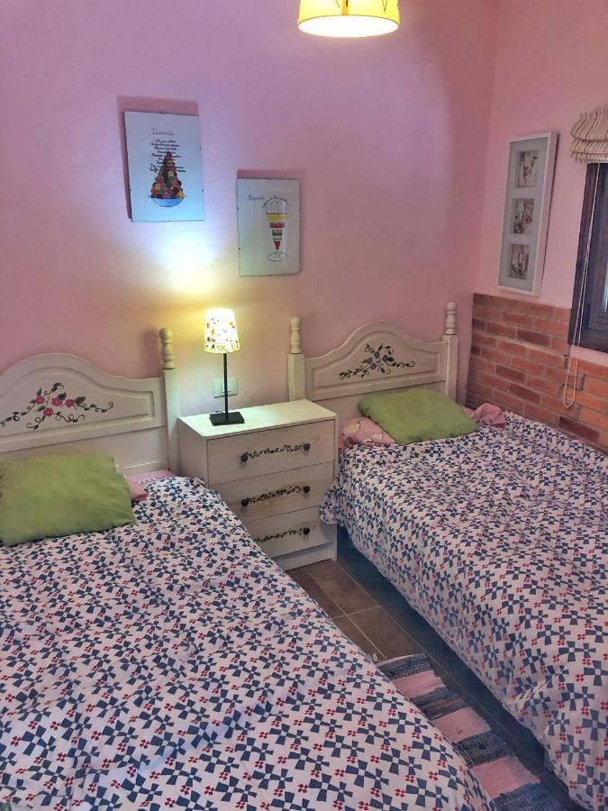 Arico Casa Abuela Minaヴィラ エクステリア 写真